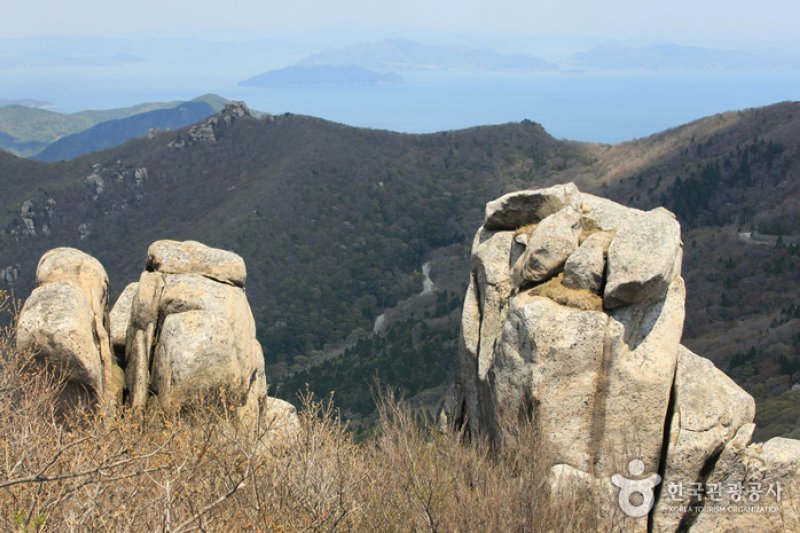 南海錦山
