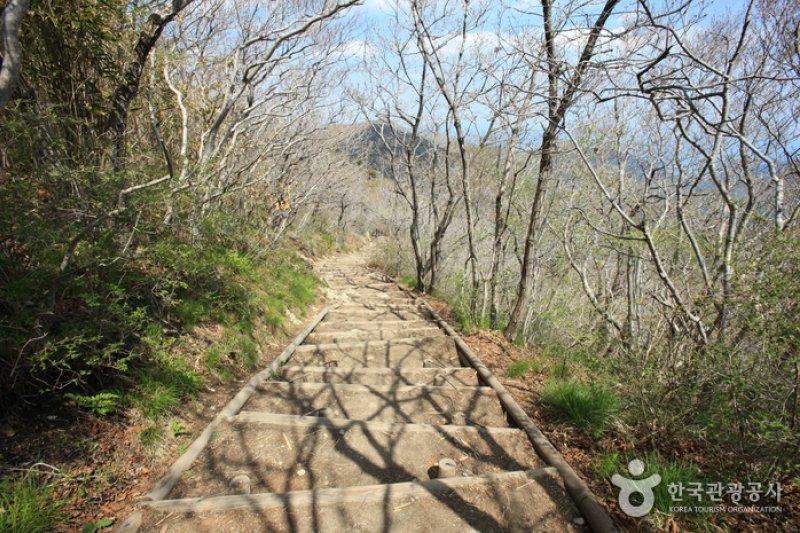 南海錦山