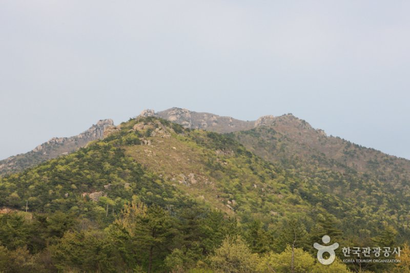 南海錦山
