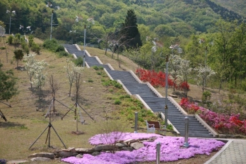 南海蝴蝶&amp;主題公園