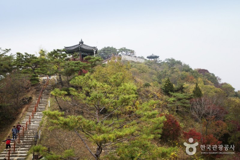 清風文化財園區 (73/82)