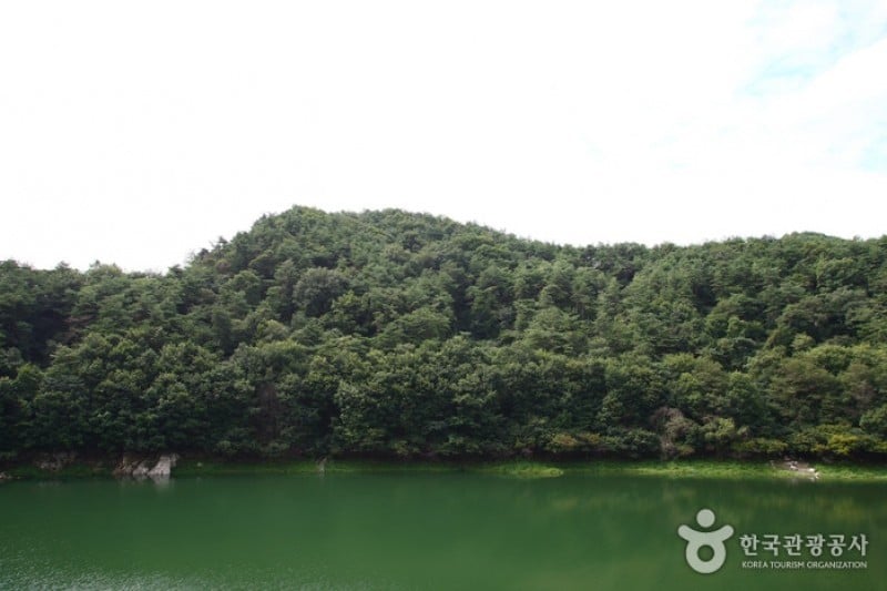 清風湖畔櫻花慶典 (3/3)