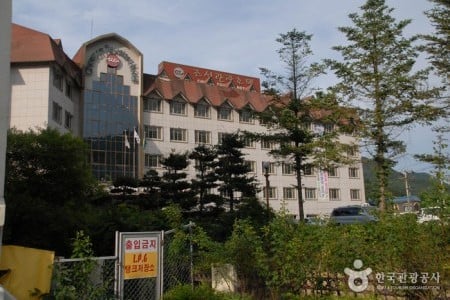 水安堡朝鮮觀光酒店