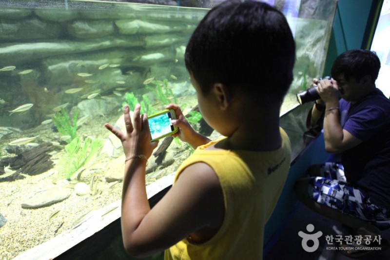 丹陽Danuri水族館