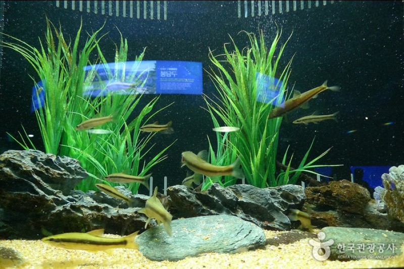 丹陽Danuri水族館