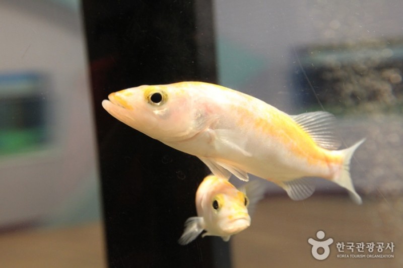 丹陽Danuri水族館