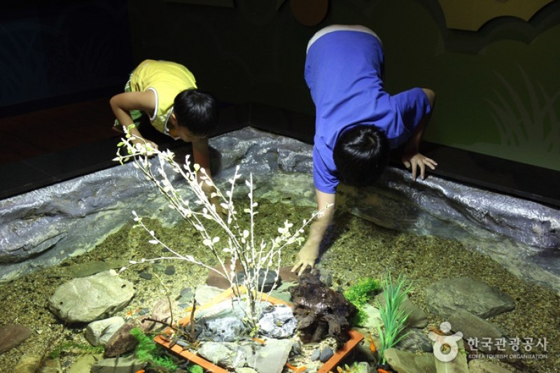 丹陽Danuri水族館