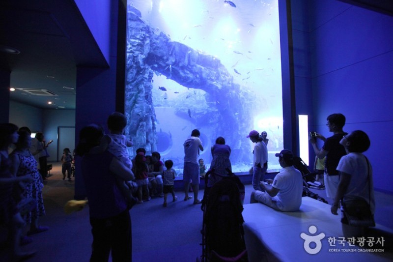 丹陽Danuri水族館