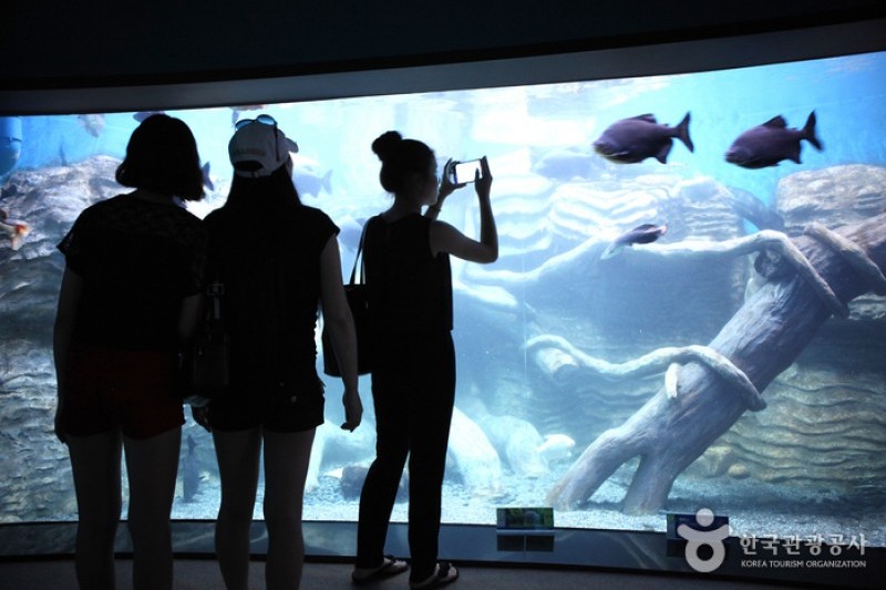 丹陽Danuri水族館