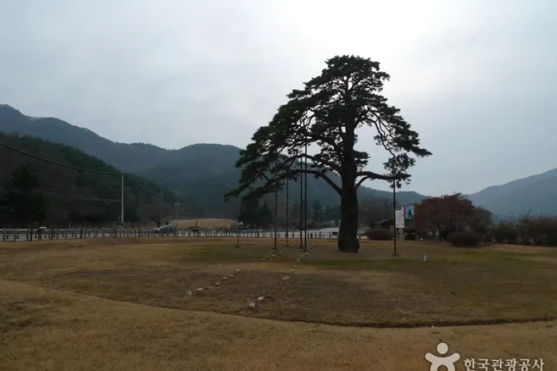 報恩俗離正二品鬆