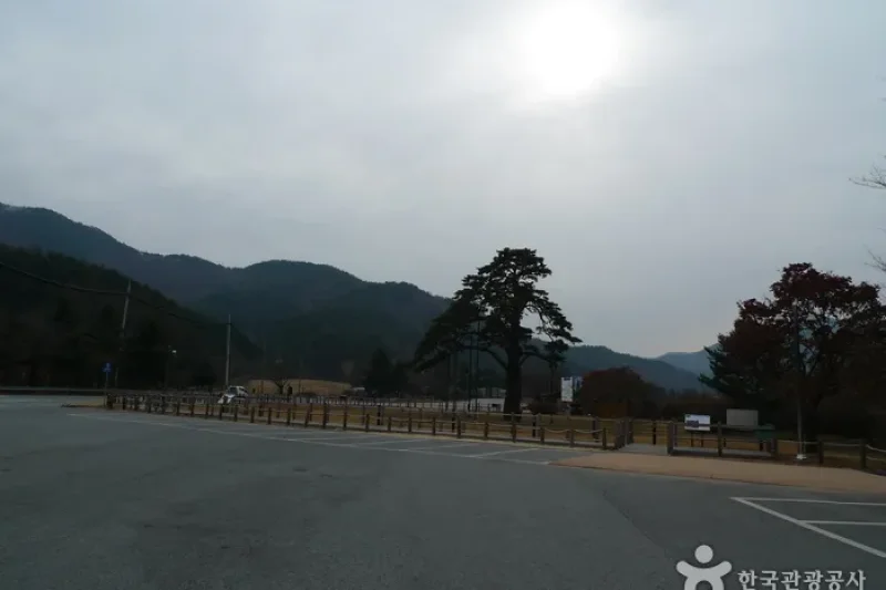 報恩俗離正二品鬆