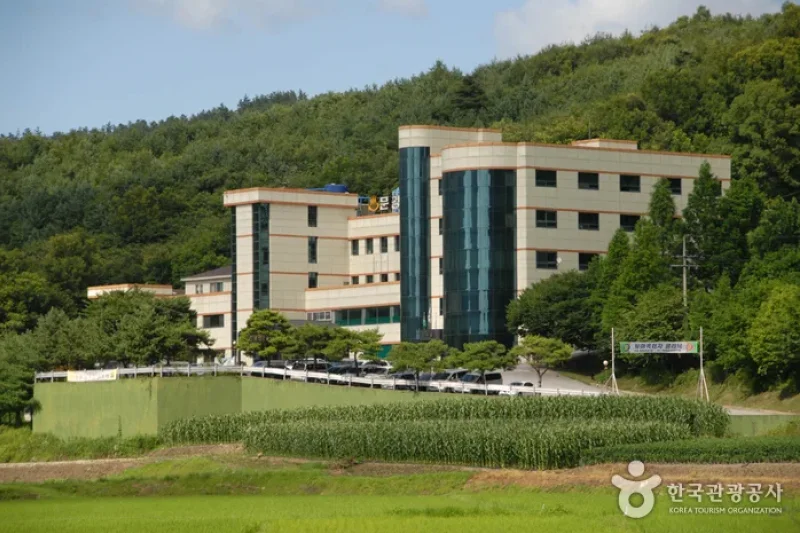 文江硫磺温泉 (1/3)