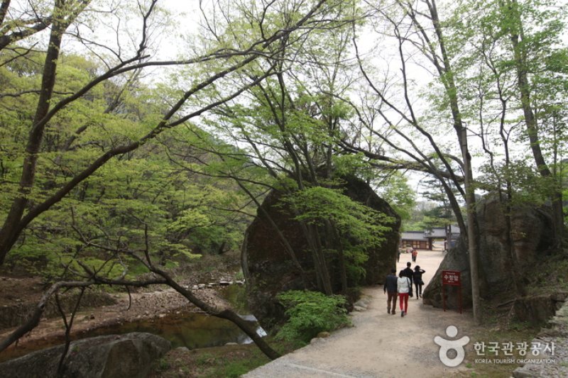 俗離山觀光特區 (7/8)