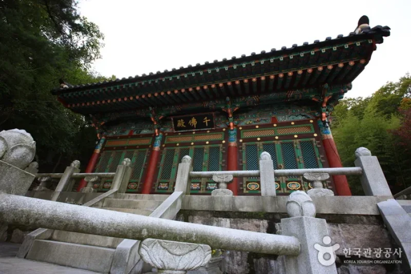 龍巖寺沃川 (5/8)