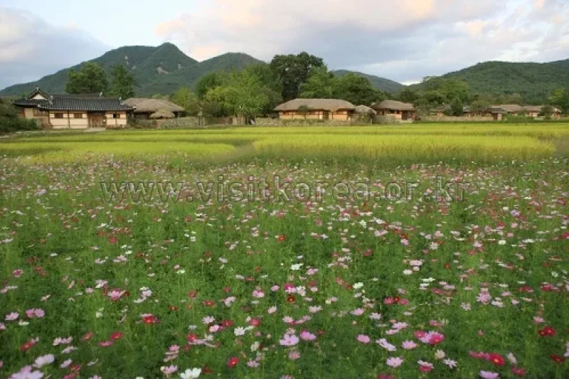 外巖民俗村