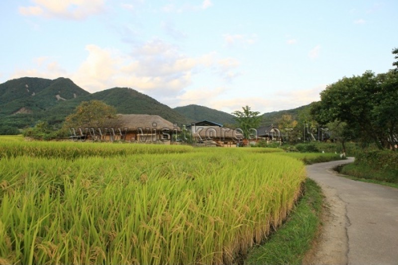 外巖民俗村
