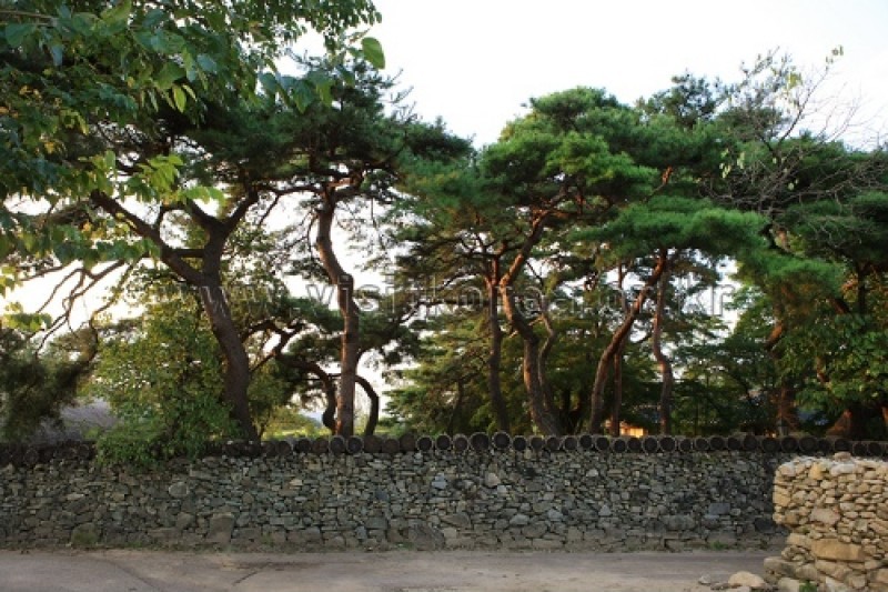 外巖民俗村
