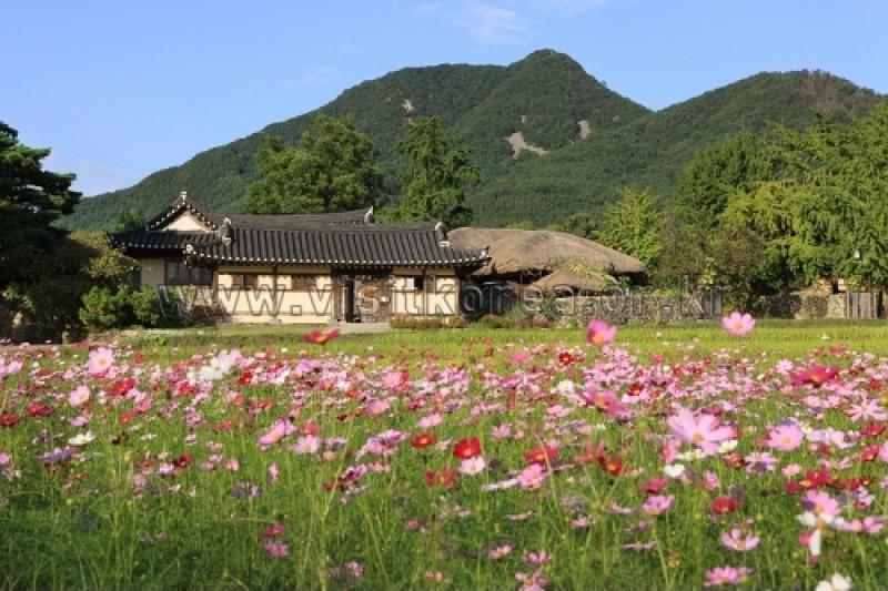 外巖民俗村