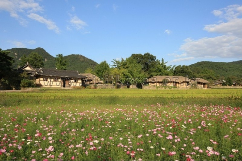 外巖民俗村