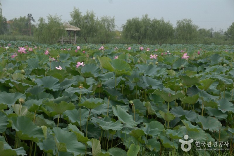 薯童公園與宮南池