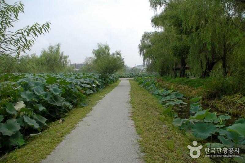 薯童公園與宮南池