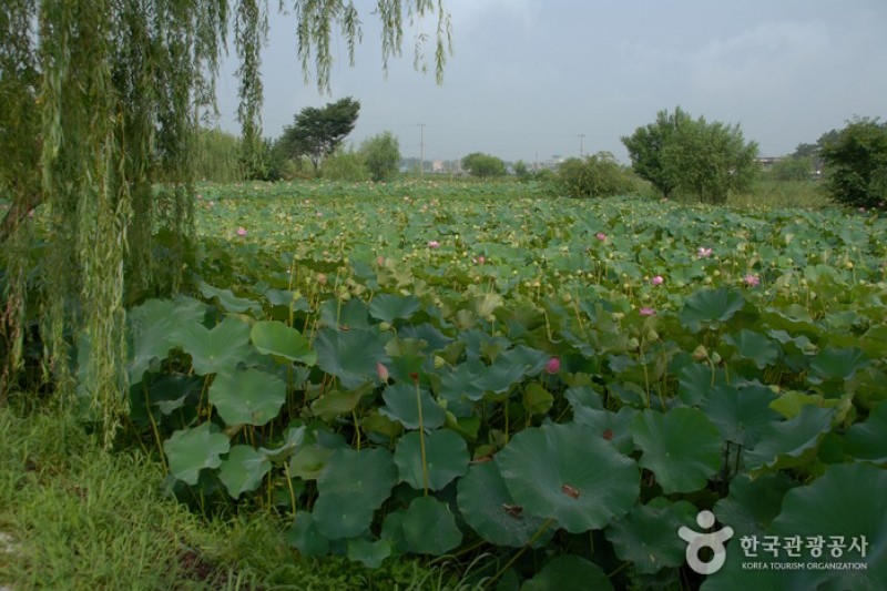 薯童公園與宮南池