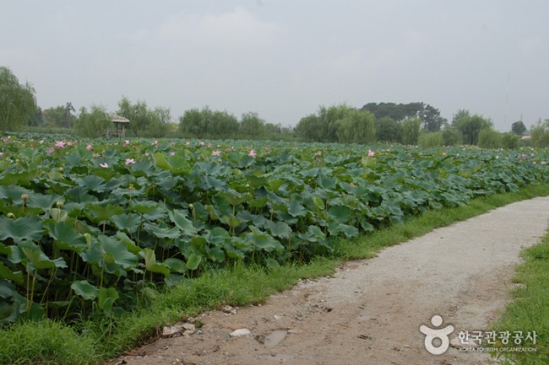 薯童公園與宮南池