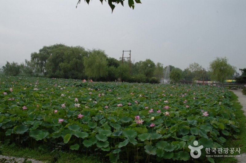 薯童公園與宮南池
