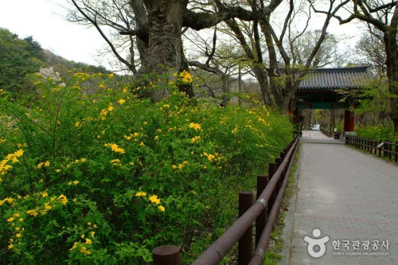 甲寺(갑사)