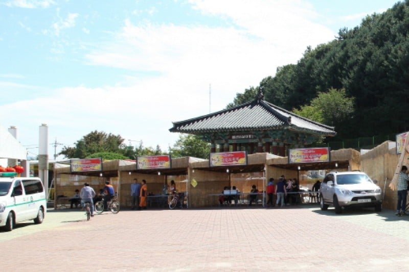 錦山人蔘節