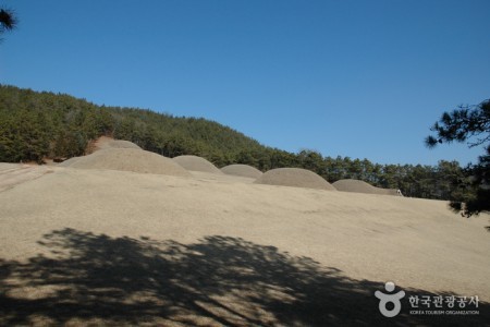 扶餘陵山里古墳羣 [UNESCO世界遺產]