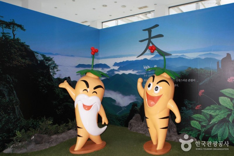 錦山人蔘館 