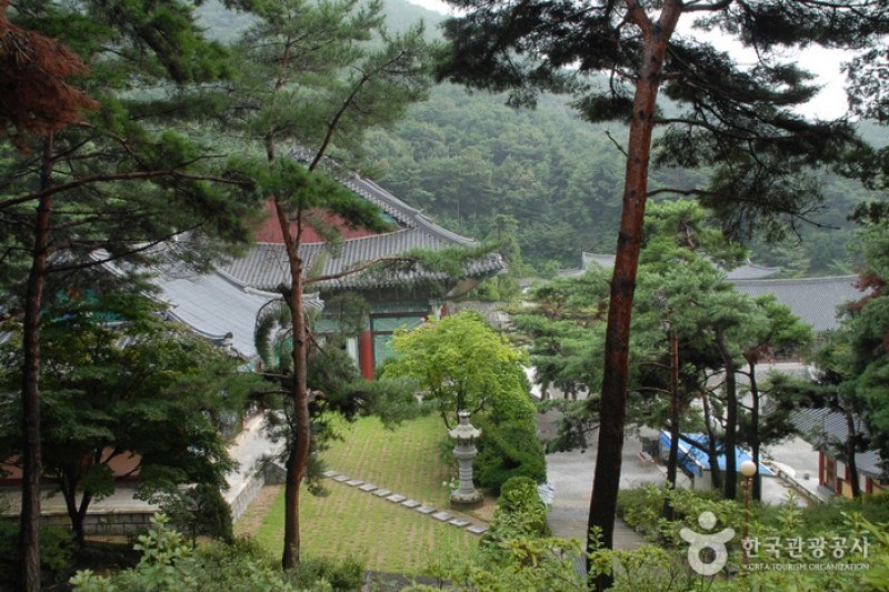 覺願寺