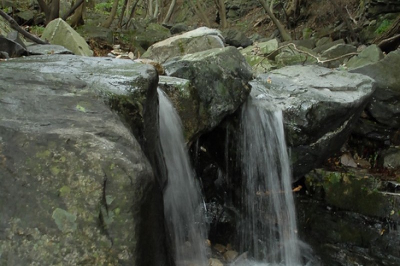 烏棲山