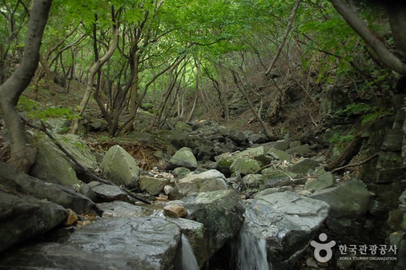 烏棲山