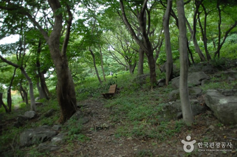 烏棲山