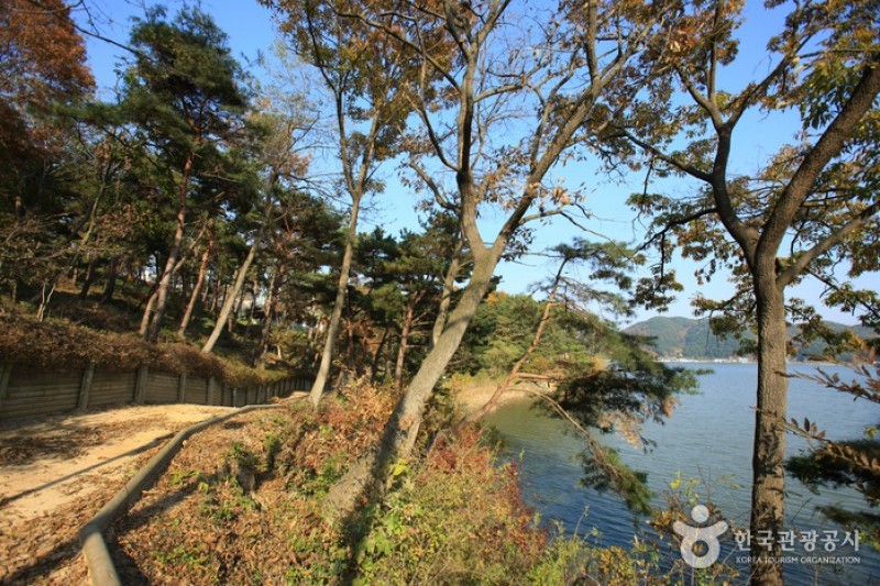 禮唐貯水池觀光地 (6/19)