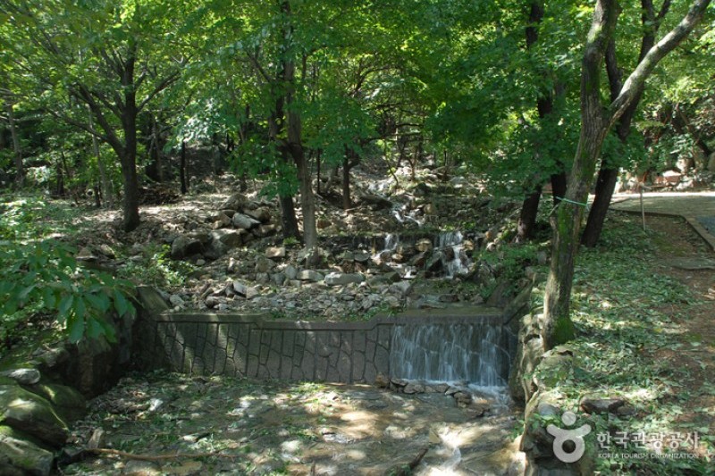 烏棲山自然休養林 