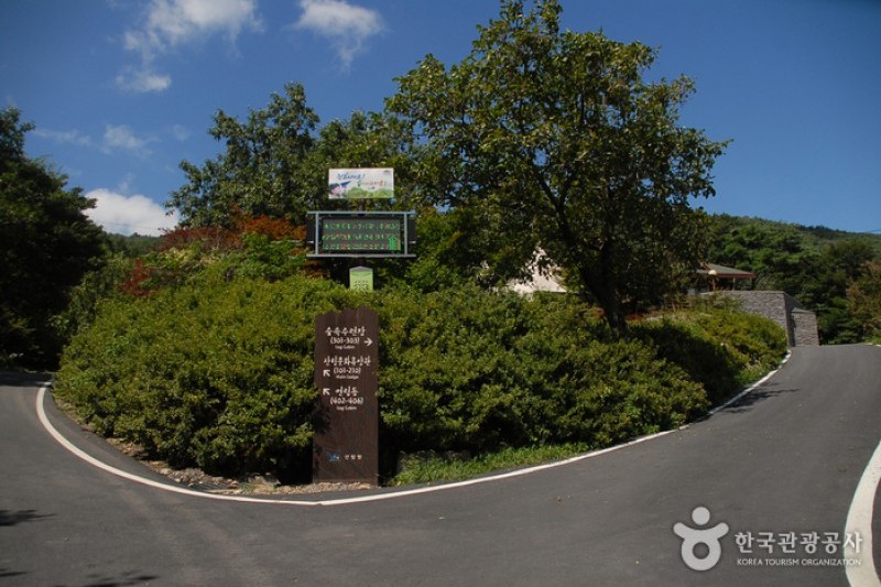 烏棲山自然休養林 