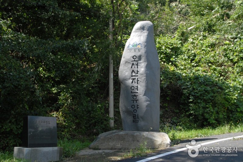 烏棲山自然休養林 