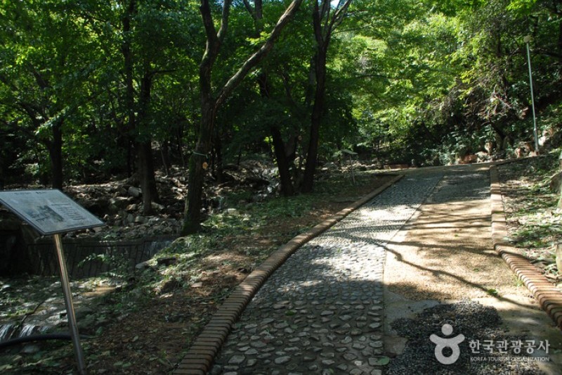 烏棲山自然休養林 