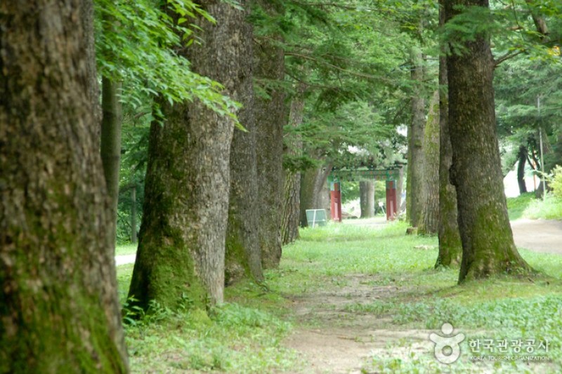 寶石寺 (5/21)