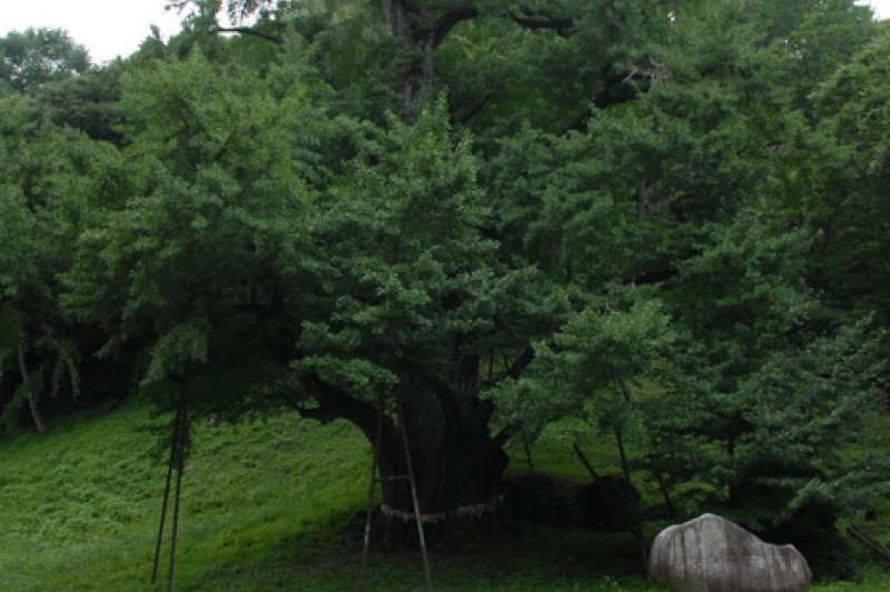 寶石寺 (9/21)