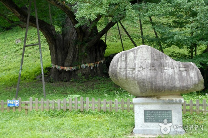 寶石寺 (11/21)