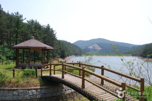 國立希里山海松自然休養林