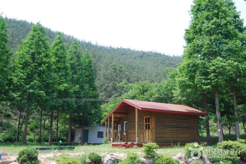 國立希里山海松自然休養林