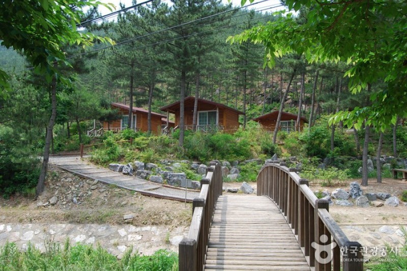 國立希里山海松自然休養林