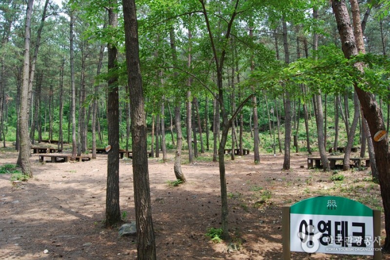 國立希里山海松自然休養林