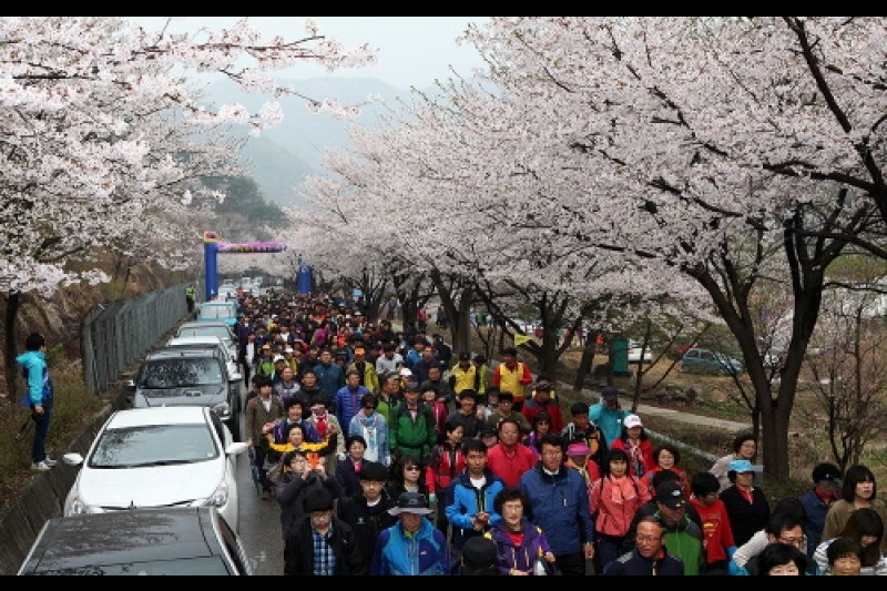 綢緞村山花慶典
