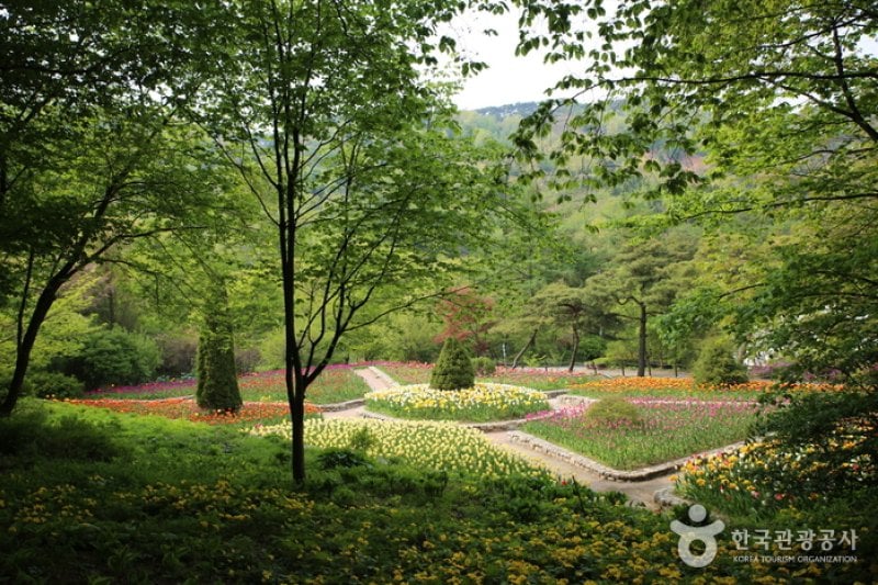 Kohwun植物園